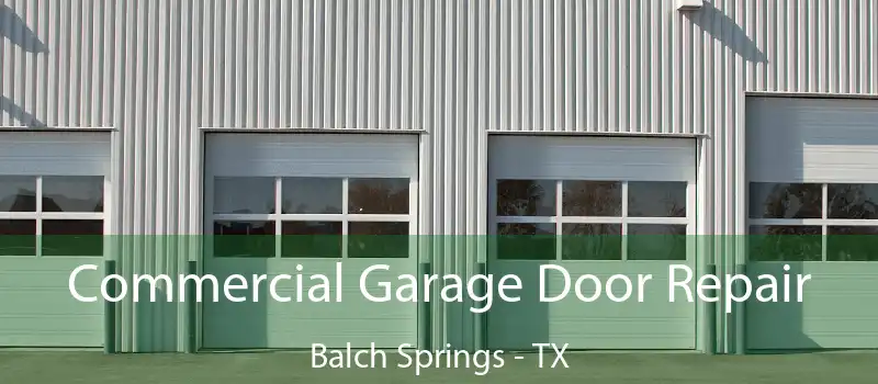  Commercial Garage Door Repair Balch Springs - TX
