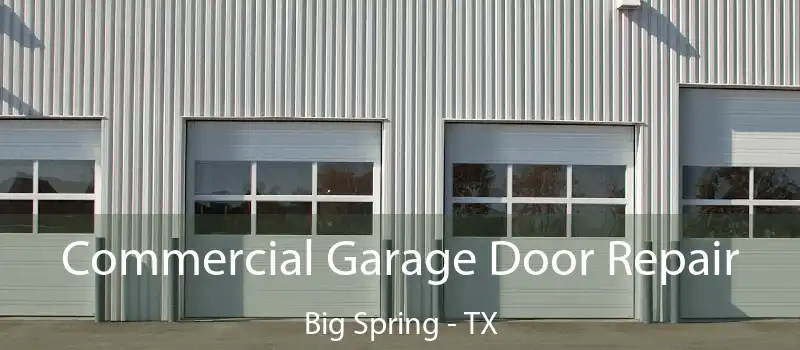  Commercial Garage Door Repair Big Spring - TX