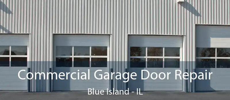  Commercial Garage Door Repair Blue Island - IL