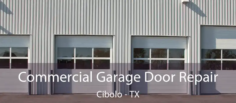  Commercial Garage Door Repair Cibolo - TX