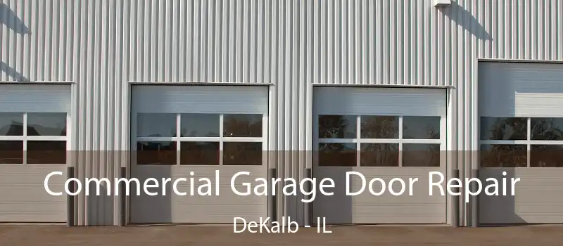  Commercial Garage Door Repair DeKalb - IL