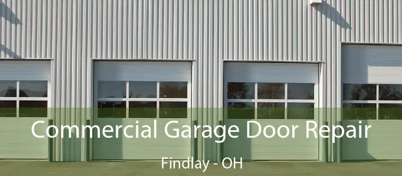  Commercial Garage Door Repair Findlay - OH