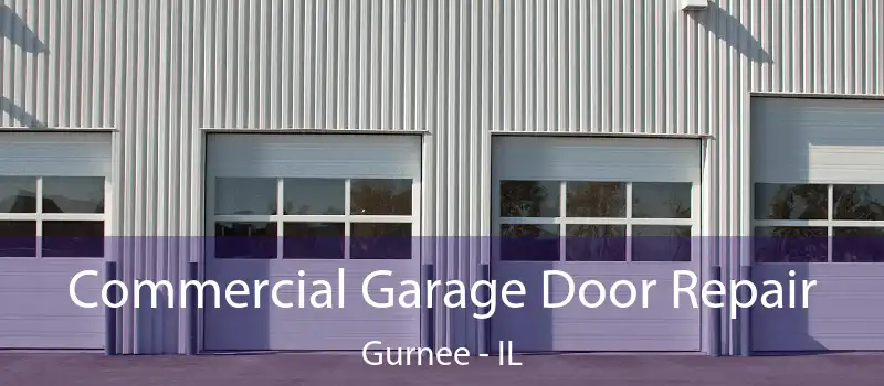 Commercial Garage Door Repair Gurnee - IL