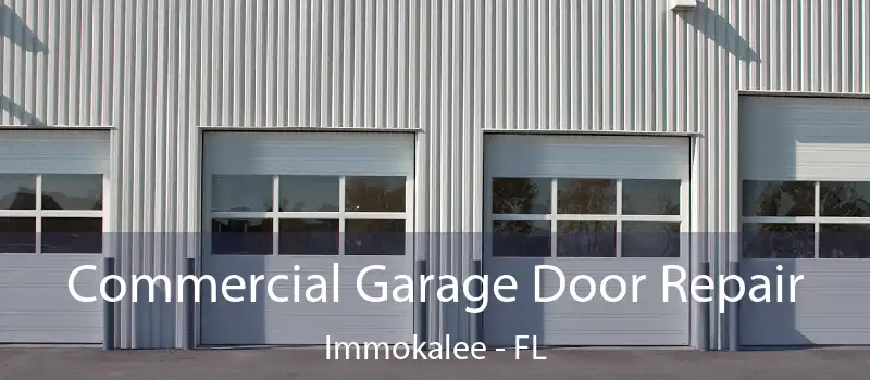 Commercial Garage Door Repair Immokalee - FL