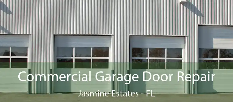 Commercial Garage Door Repair Jasmine Estates - FL