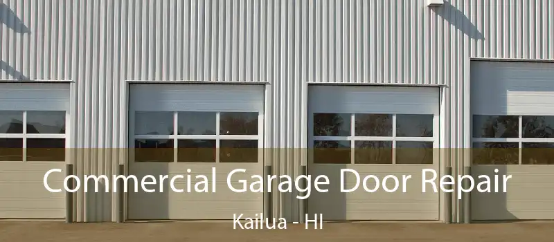  Commercial Garage Door Repair Kailua - HI