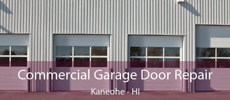 Commercial Garage Door Repair Kaneohe - HI