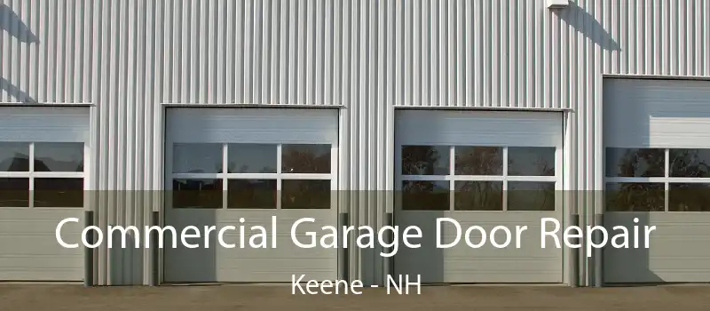  Commercial Garage Door Repair Keene - NH