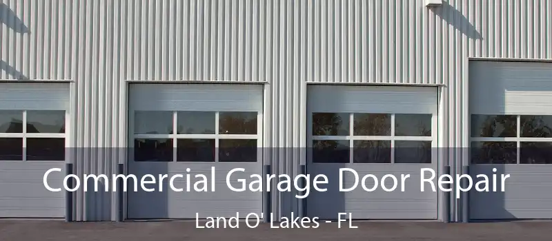 Commercial Garage Door Repair Land O' Lakes - FL