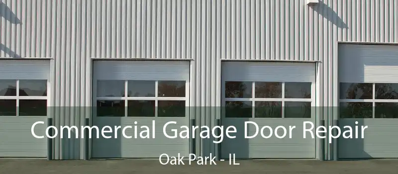  Commercial Garage Door Repair Oak Park - IL