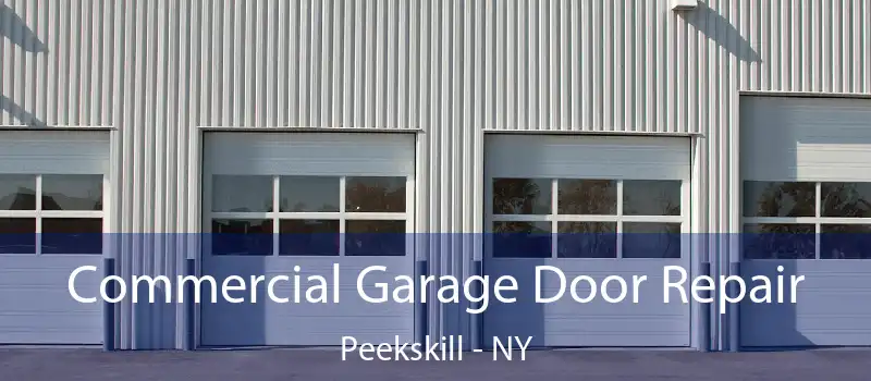  Commercial Garage Door Repair Peekskill - NY