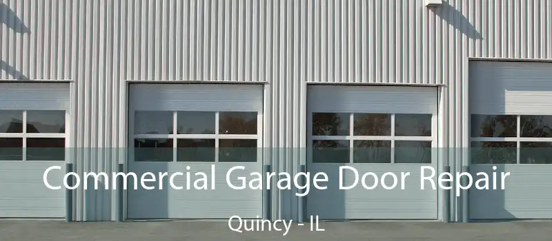  Commercial Garage Door Repair Quincy - IL