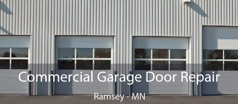  Commercial Garage Door Repair Ramsey - MN