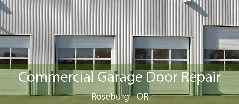  Commercial Garage Door Repair Roseburg - OR