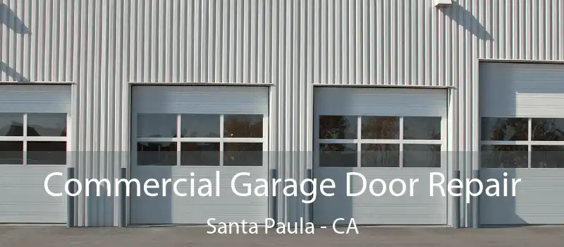 Commercial Garage Door Repair Santa Paula - CA