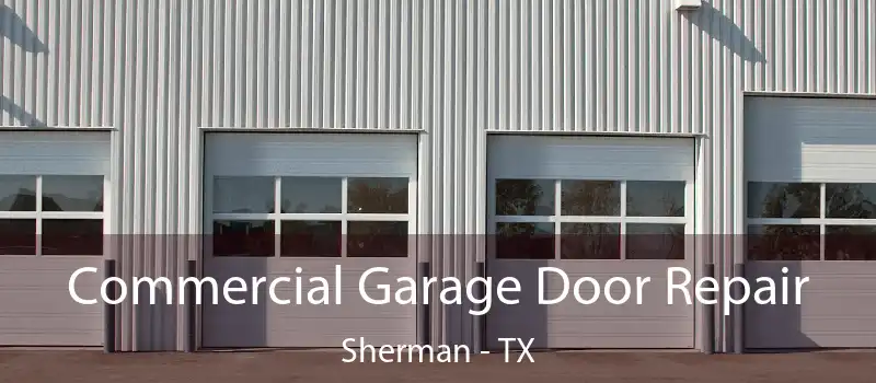 Commercial Garage Door Repair Sherman - TX