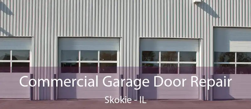  Commercial Garage Door Repair Skokie - IL