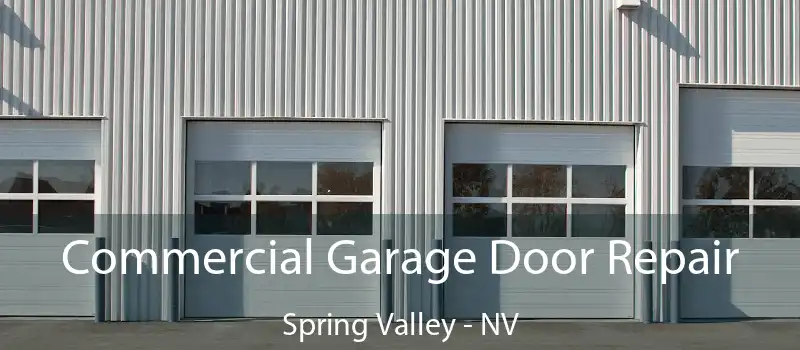  Commercial Garage Door Repair Spring Valley - NV