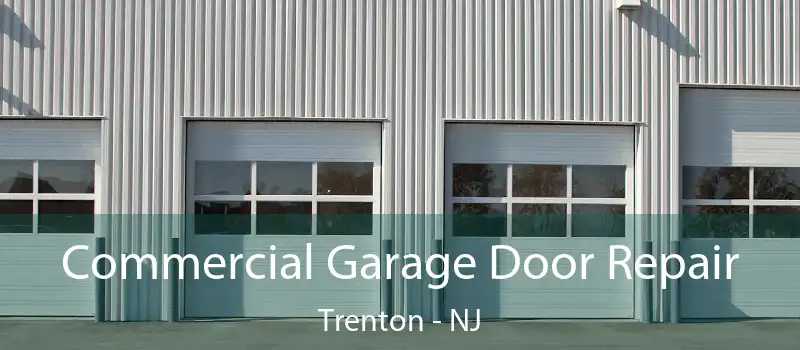  Commercial Garage Door Repair Trenton - NJ