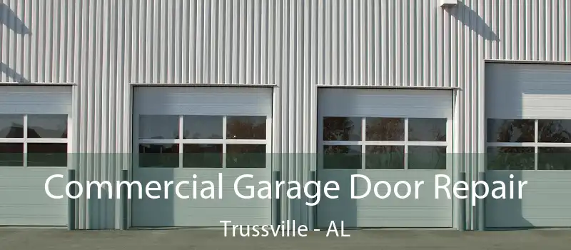  Commercial Garage Door Repair Trussville - AL
