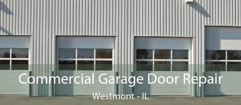 Commercial Garage Door Repair Westmont - IL