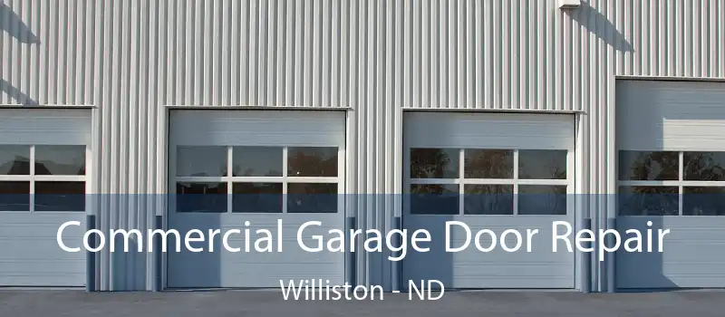  Commercial Garage Door Repair Williston - ND