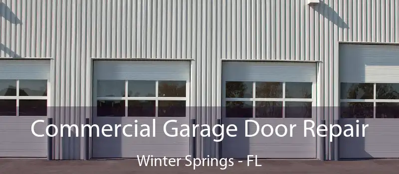 Commercial Garage Door Repair Winter Springs - FL