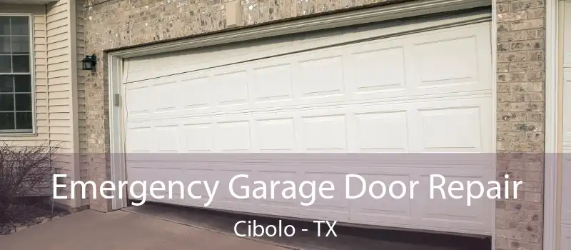  Emergency Garage Door Repair Cibolo - TX
