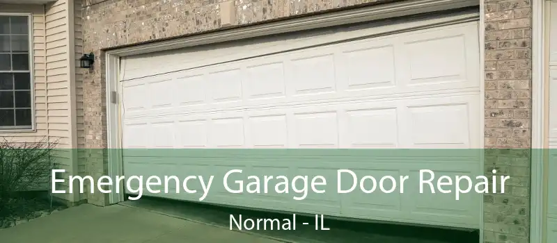  Emergency Garage Door Repair Normal - IL