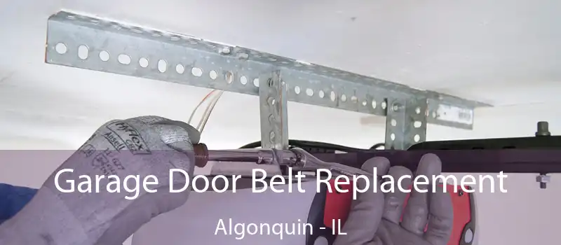  Garage Door Belt Replacement Algonquin - IL