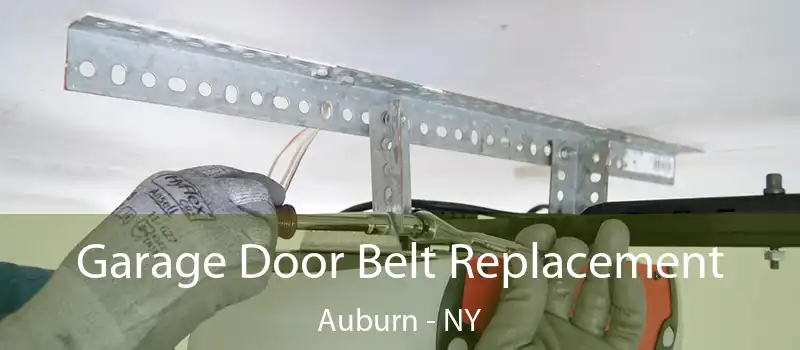  Garage Door Belt Replacement Auburn - NY