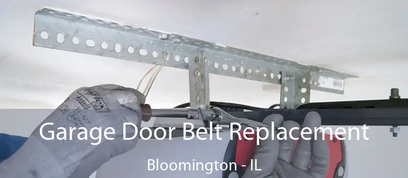  Garage Door Belt Replacement Bloomington - IL