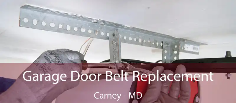  Garage Door Belt Replacement Carney - MD