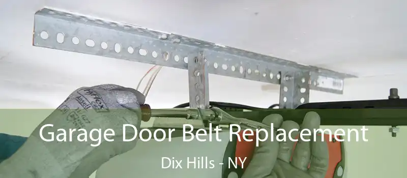  Garage Door Belt Replacement Dix Hills - NY