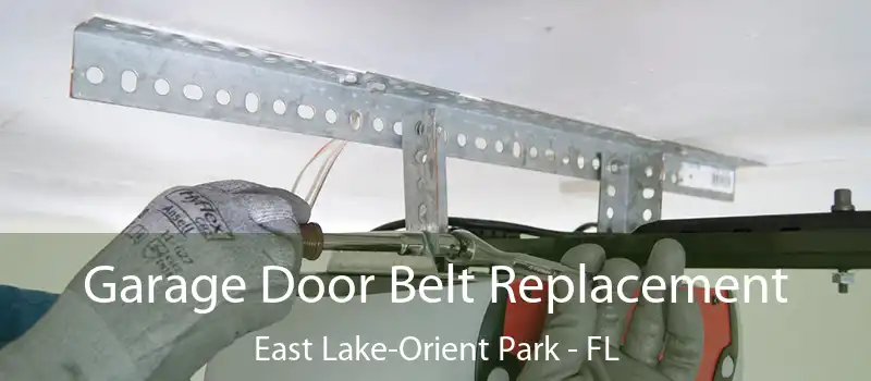  Garage Door Belt Replacement East Lake-Orient Park - FL