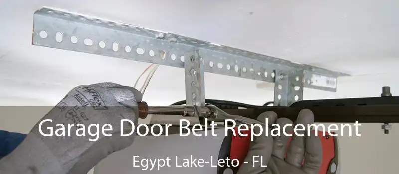  Garage Door Belt Replacement Egypt Lake-Leto - FL