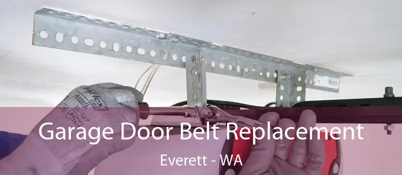  Garage Door Belt Replacement Everett - WA