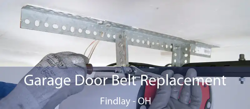  Garage Door Belt Replacement Findlay - OH