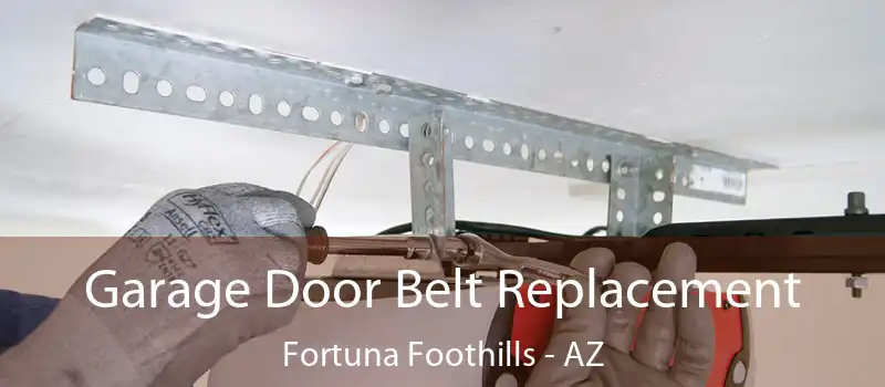  Garage Door Belt Replacement Fortuna Foothills - AZ