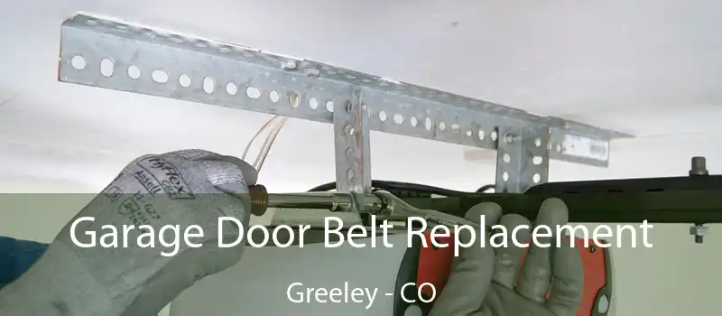  Garage Door Belt Replacement Greeley - CO
