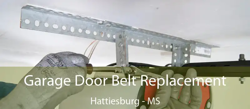 Garage Door Belt Replacement Hattiesburg - MS