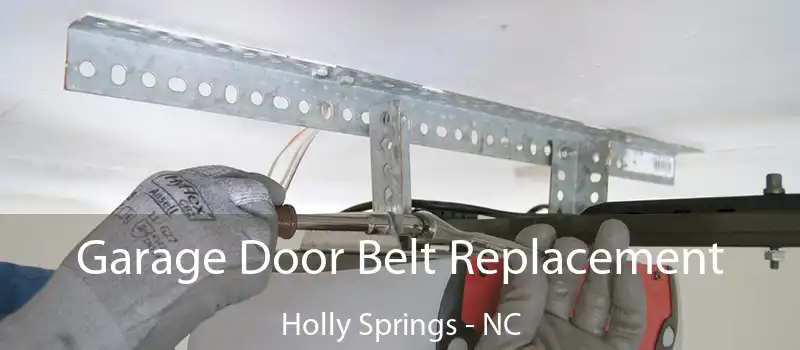 Garage Door Belt Replacement Holly Springs - NC