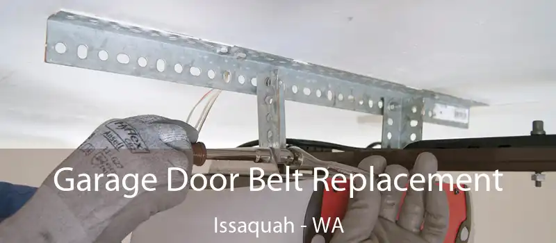 Garage Door Belt Replacement Issaquah - WA