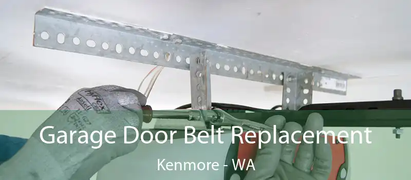 Garage Door Belt Replacement Kenmore - WA