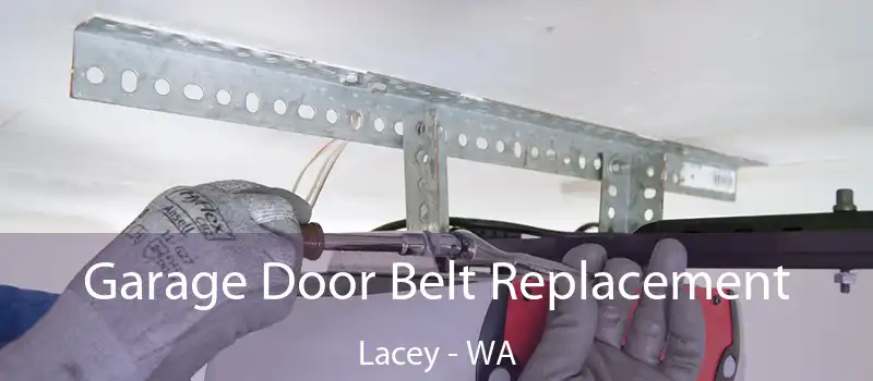  Garage Door Belt Replacement Lacey - WA