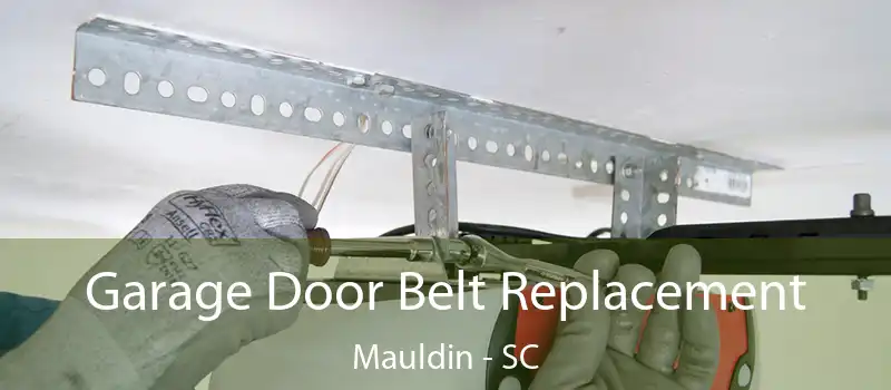 Garage Door Belt Replacement Mauldin - SC