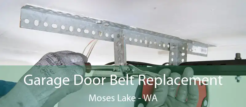 Garage Door Belt Replacement Moses Lake - WA