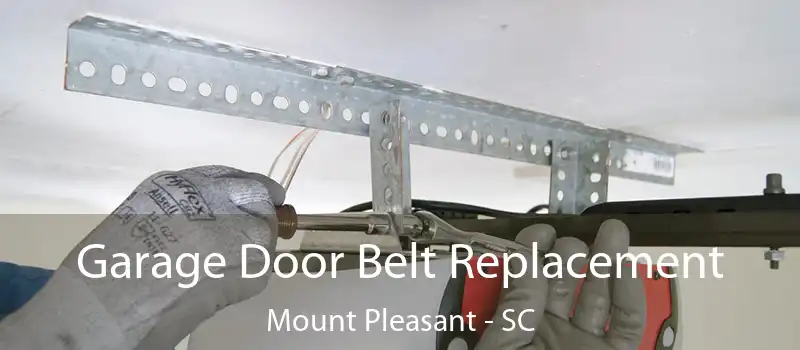  Garage Door Belt Replacement Mount Pleasant - SC