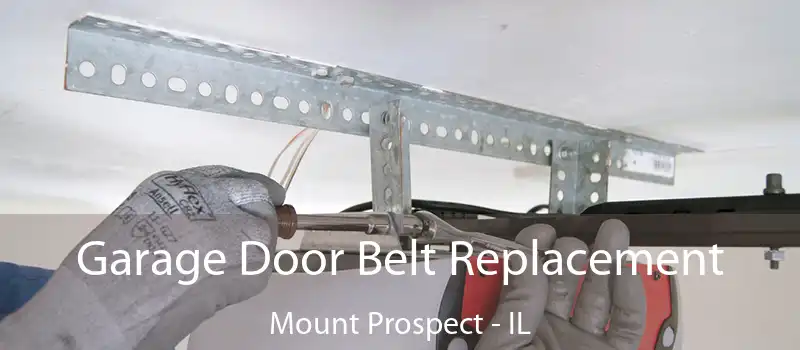  Garage Door Belt Replacement Mount Prospect - IL