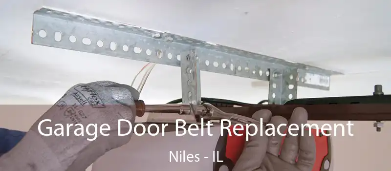  Garage Door Belt Replacement Niles - IL